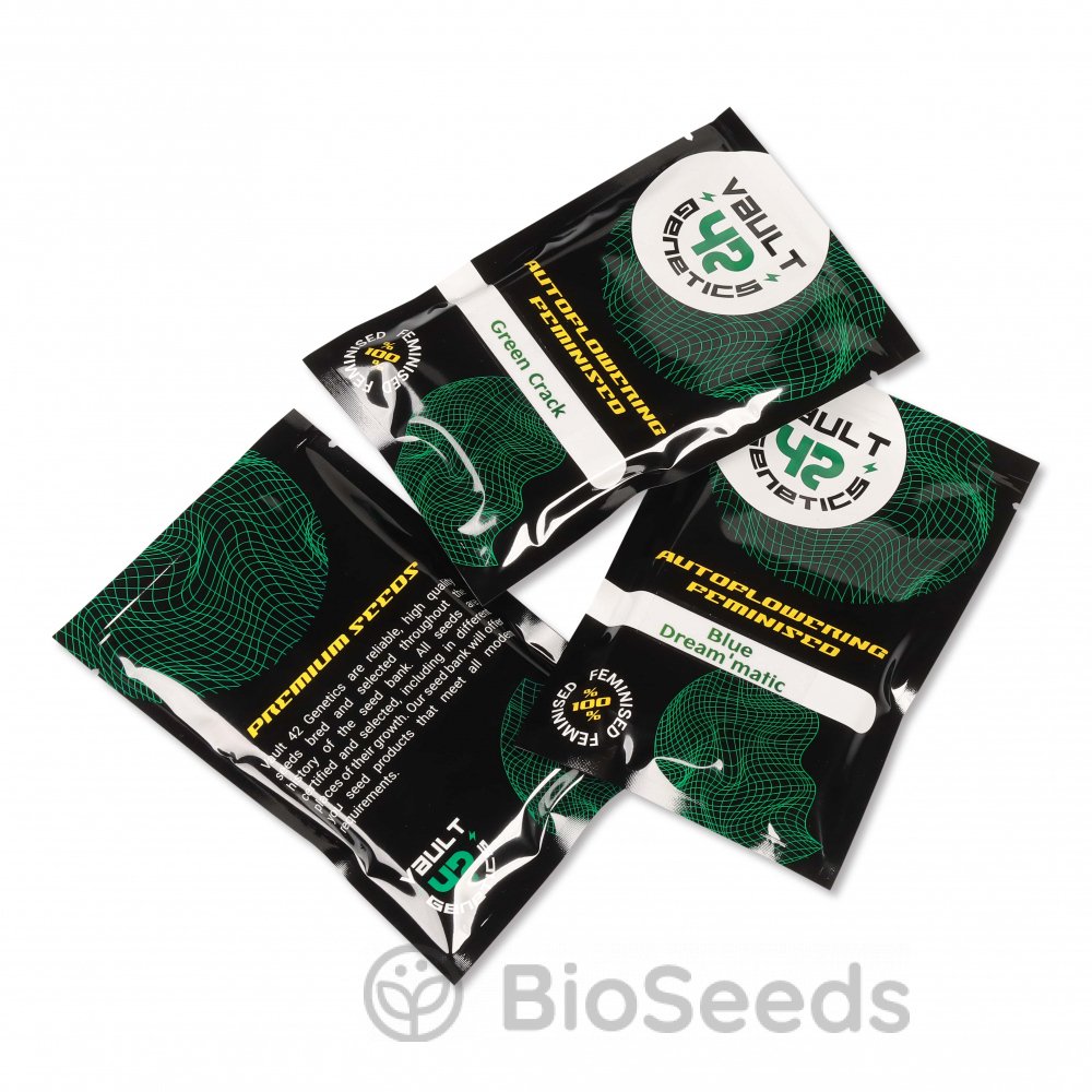 Семена сорта Stardawg Auto Fem (Vault 42 Genetics) купить за 924 ₽ в интернет магазине семян конопли