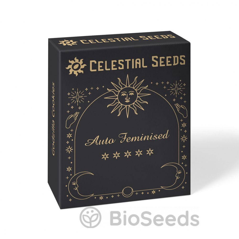 Семена сорта Cinderella Auto Fem (Celestial Seeds) купить за 1 008 ₽ в интернет магазине семян конопли