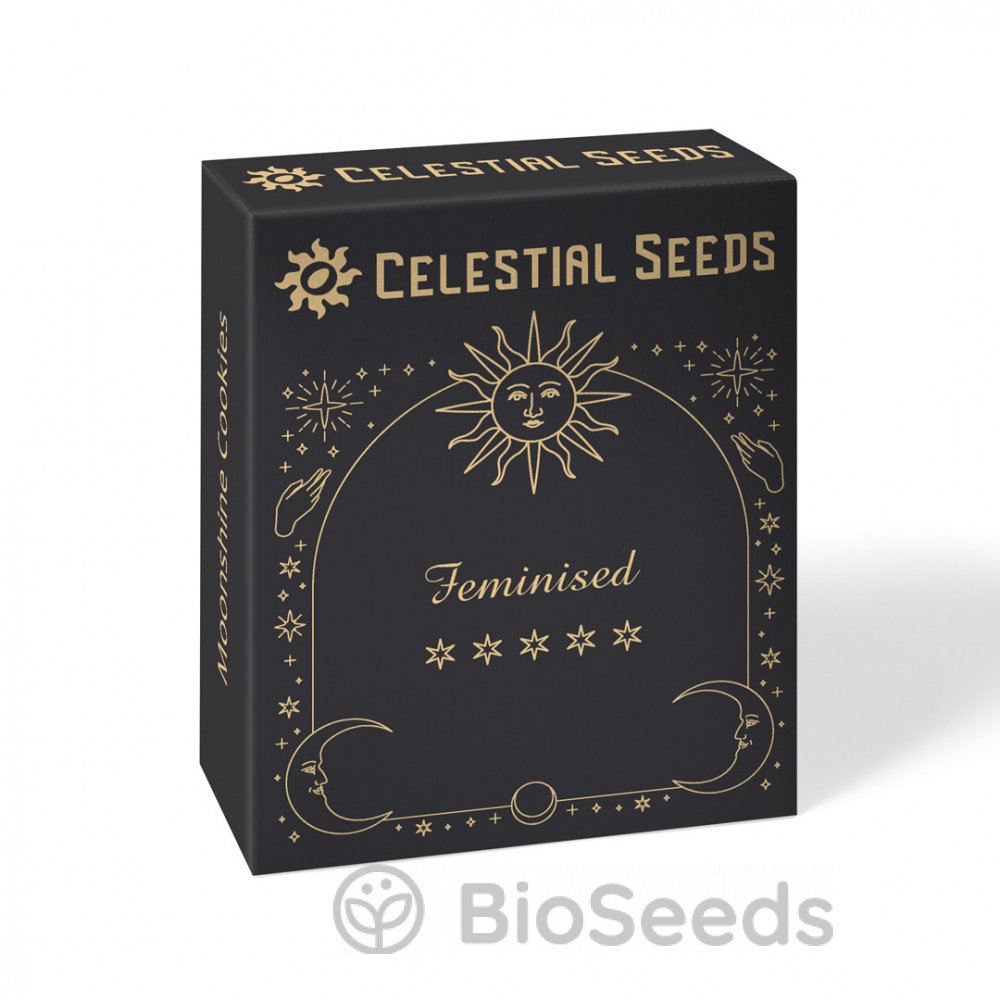 Семена сорта Bruce Banner Fem (Celestial Seeds) купить за 1 176 ₽ в интернет магазине семян конопли